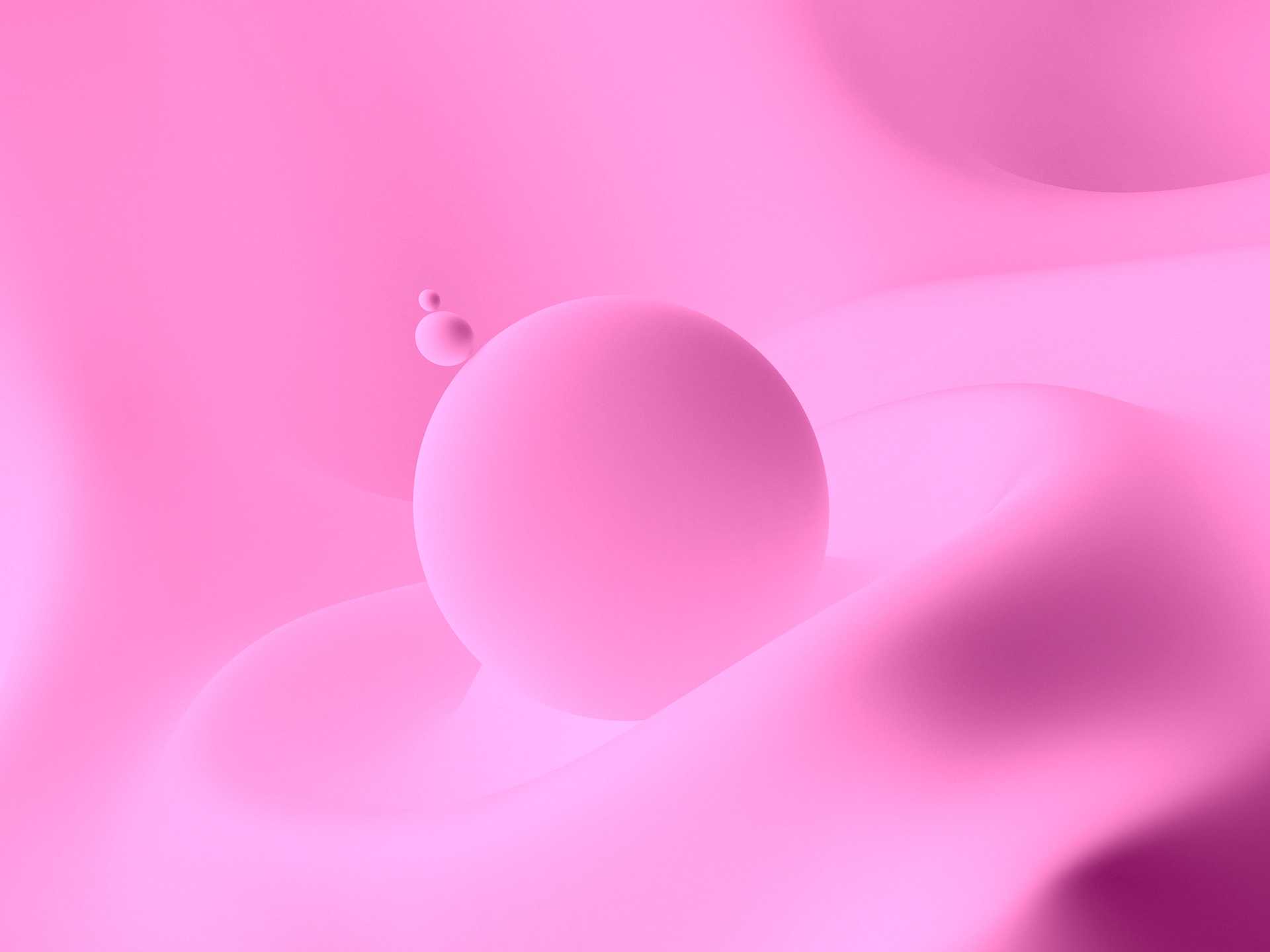 Ridaly ¿ una empresa de desarrollo de páginas web ¿ una empresa de desarrollo de páginas web