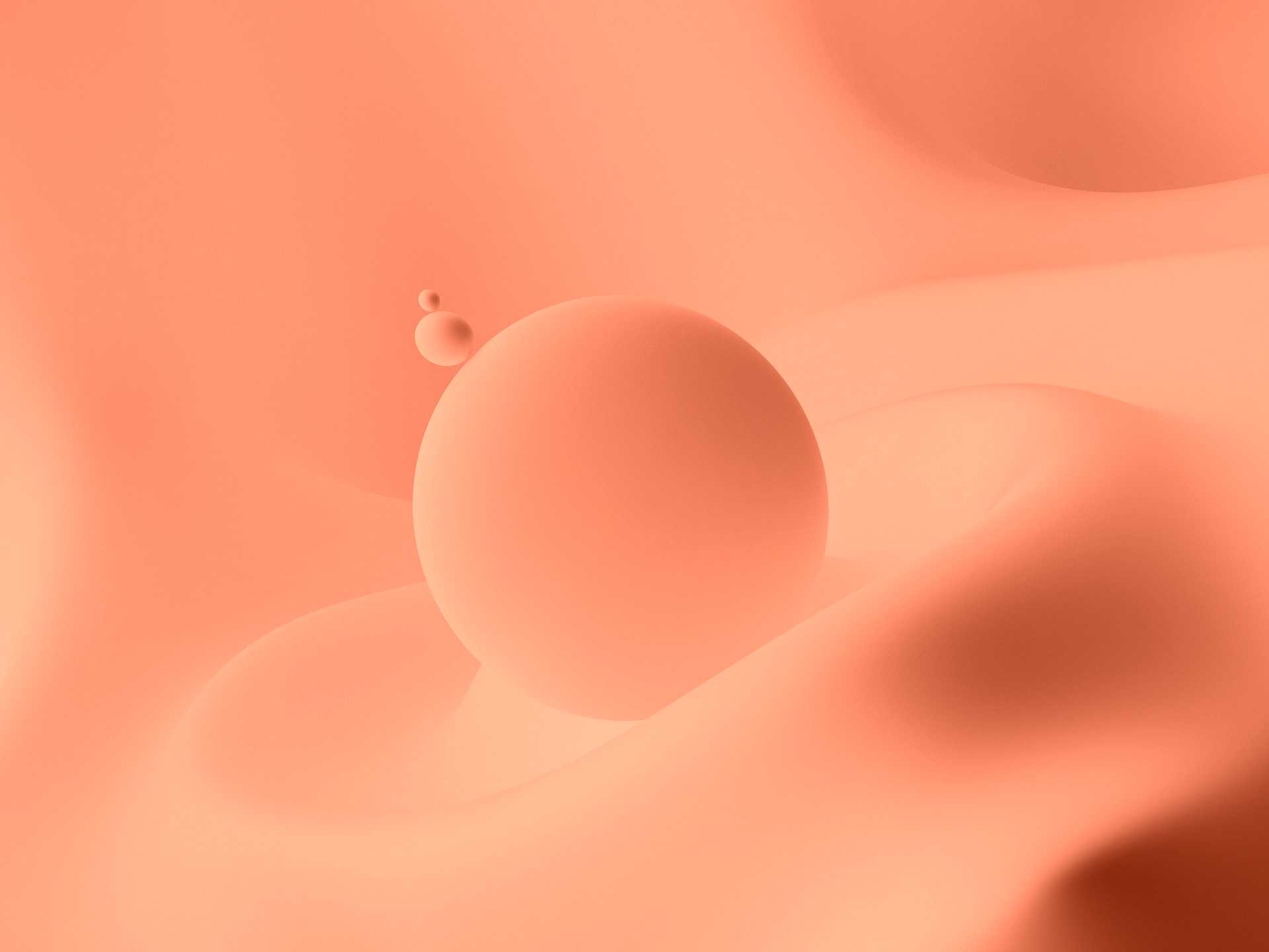 ¿Qué es una programadora web freelance?