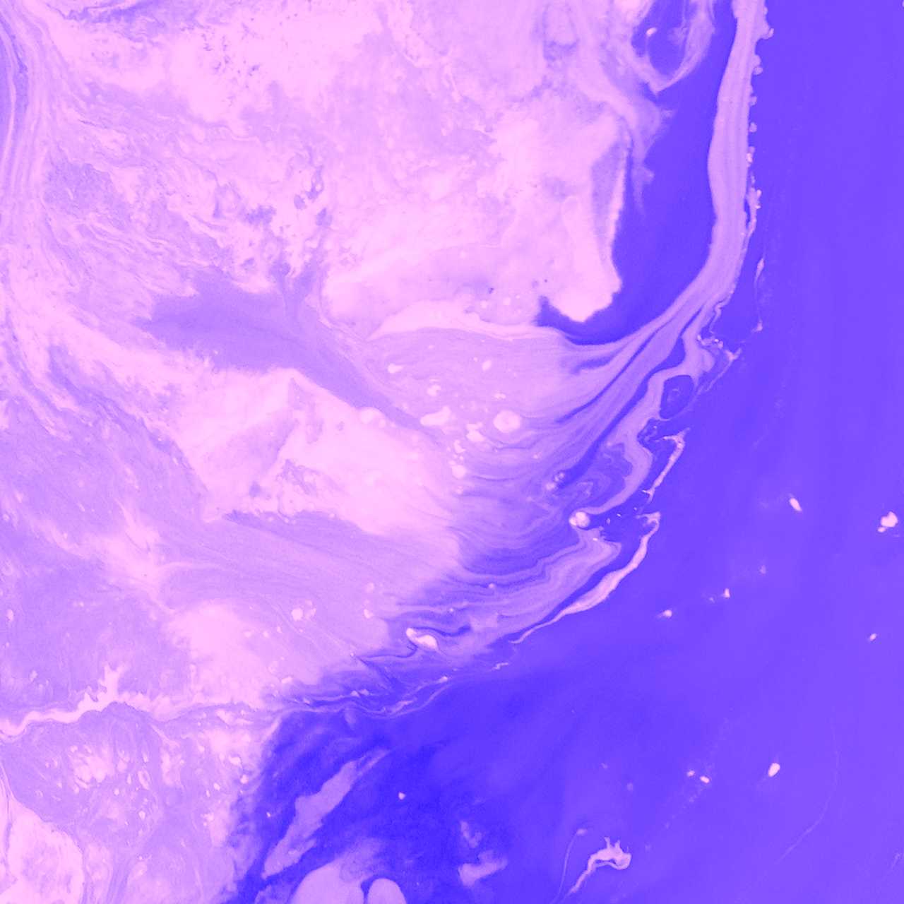 ¿Las plantillas web afectan negativamente al rendimiento de una página web?