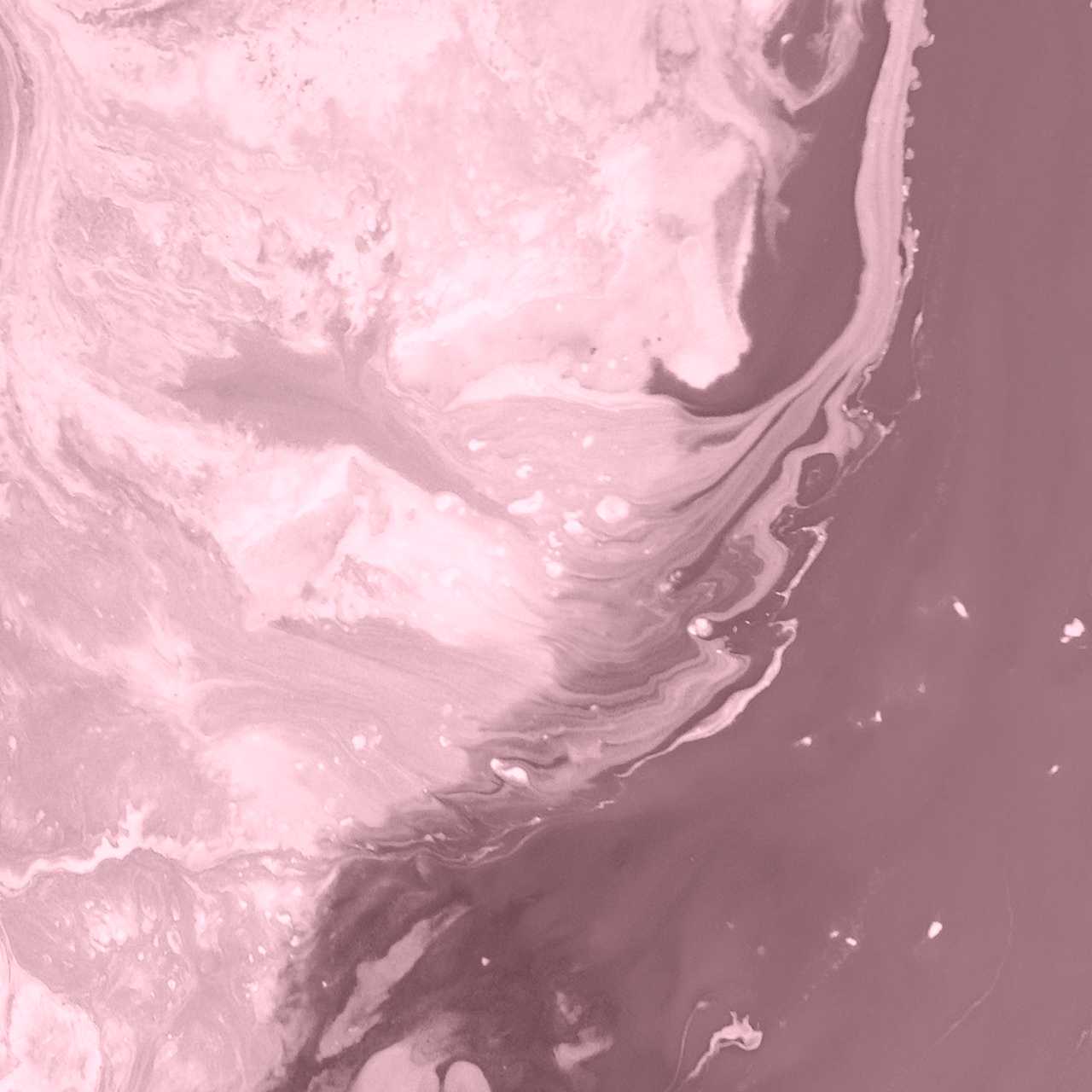 Mejores tecnologías para programadoras web